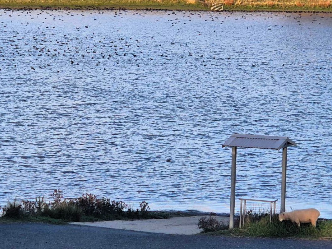 black lake boat ramp