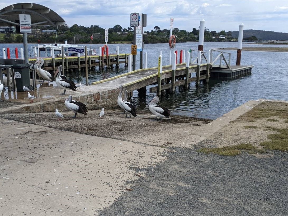 Mallacoota Boat Ramp and Jetty