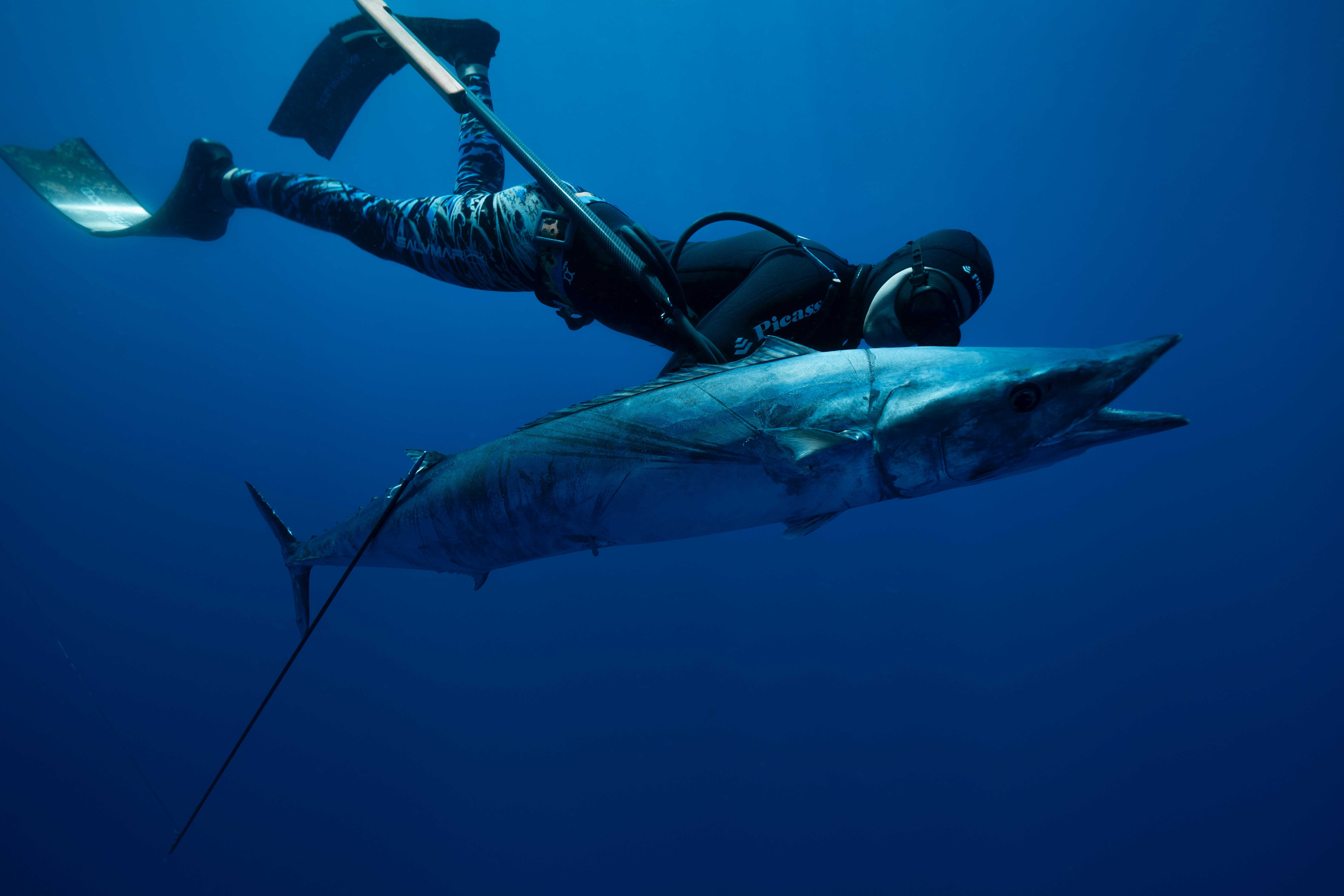 A diver caught a wahoo fish.