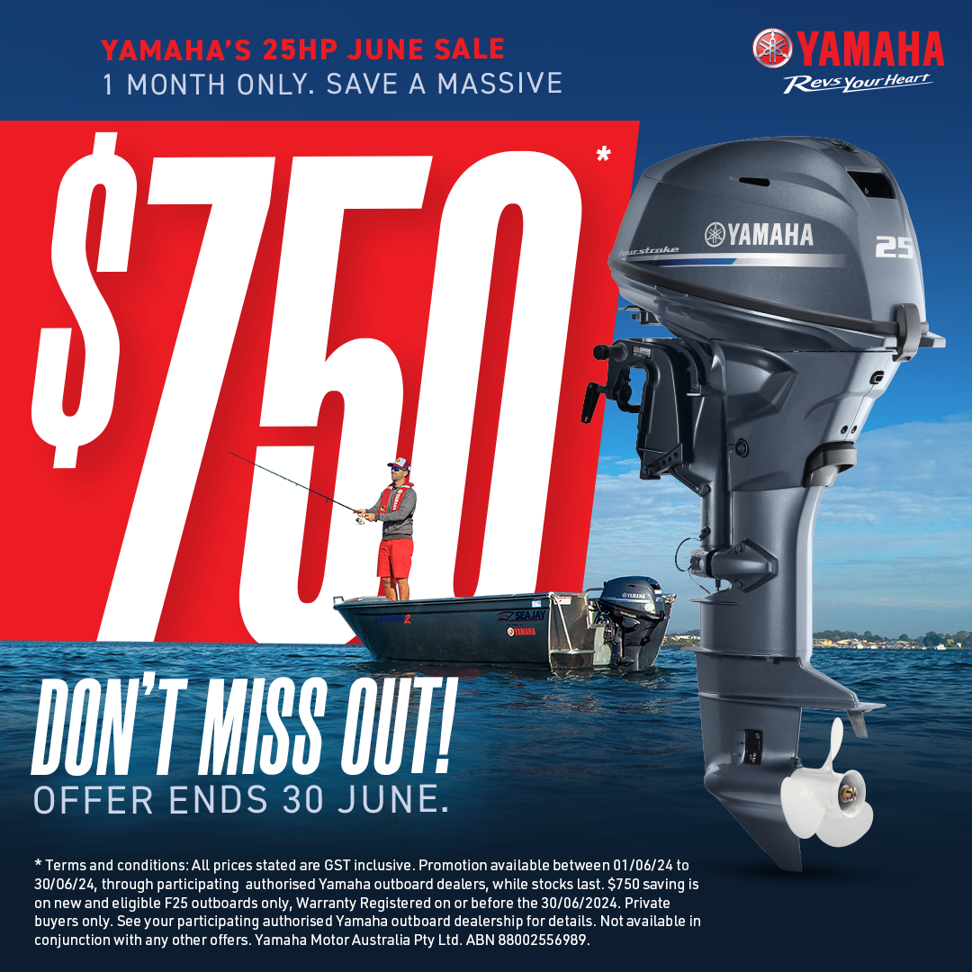 Yamaha Outboards 25HP June Sale!