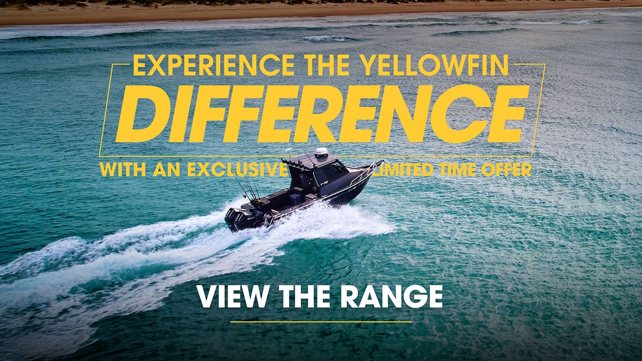 yellowfin promo banner
