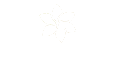 Boat Reveals logo